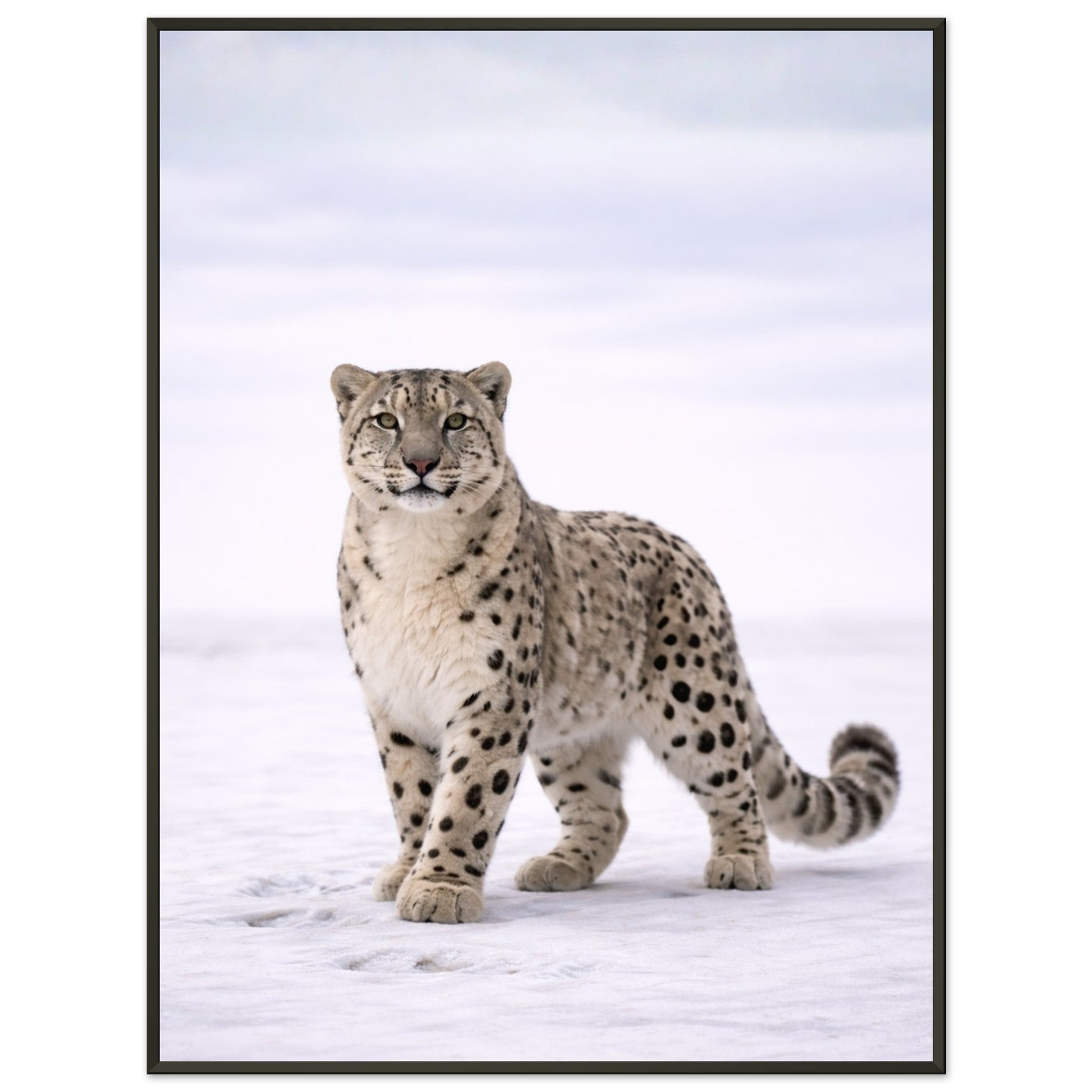 f13abbab-cae7-423c-9527-402c9f9d65c9